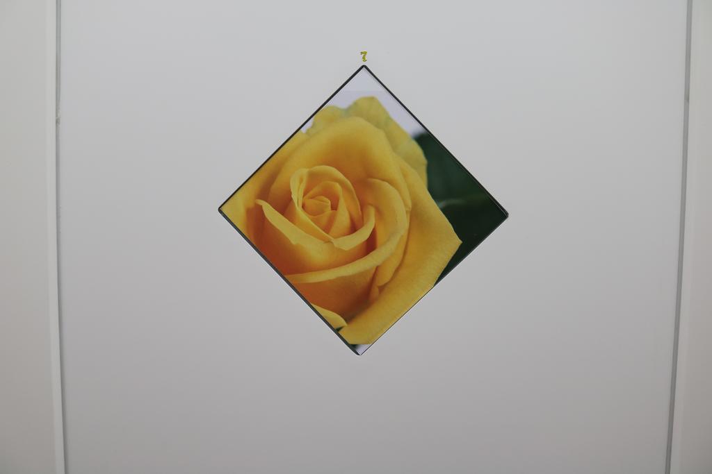 Le Tre Rose Bed & Breakfast Casamassima Buitenkant foto